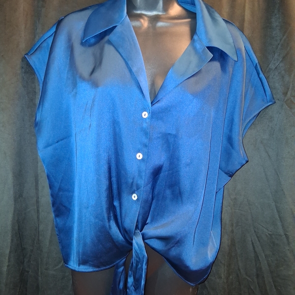 Rachel Zoe Blue Satin Button Down Shirt - Picture 1 of 4